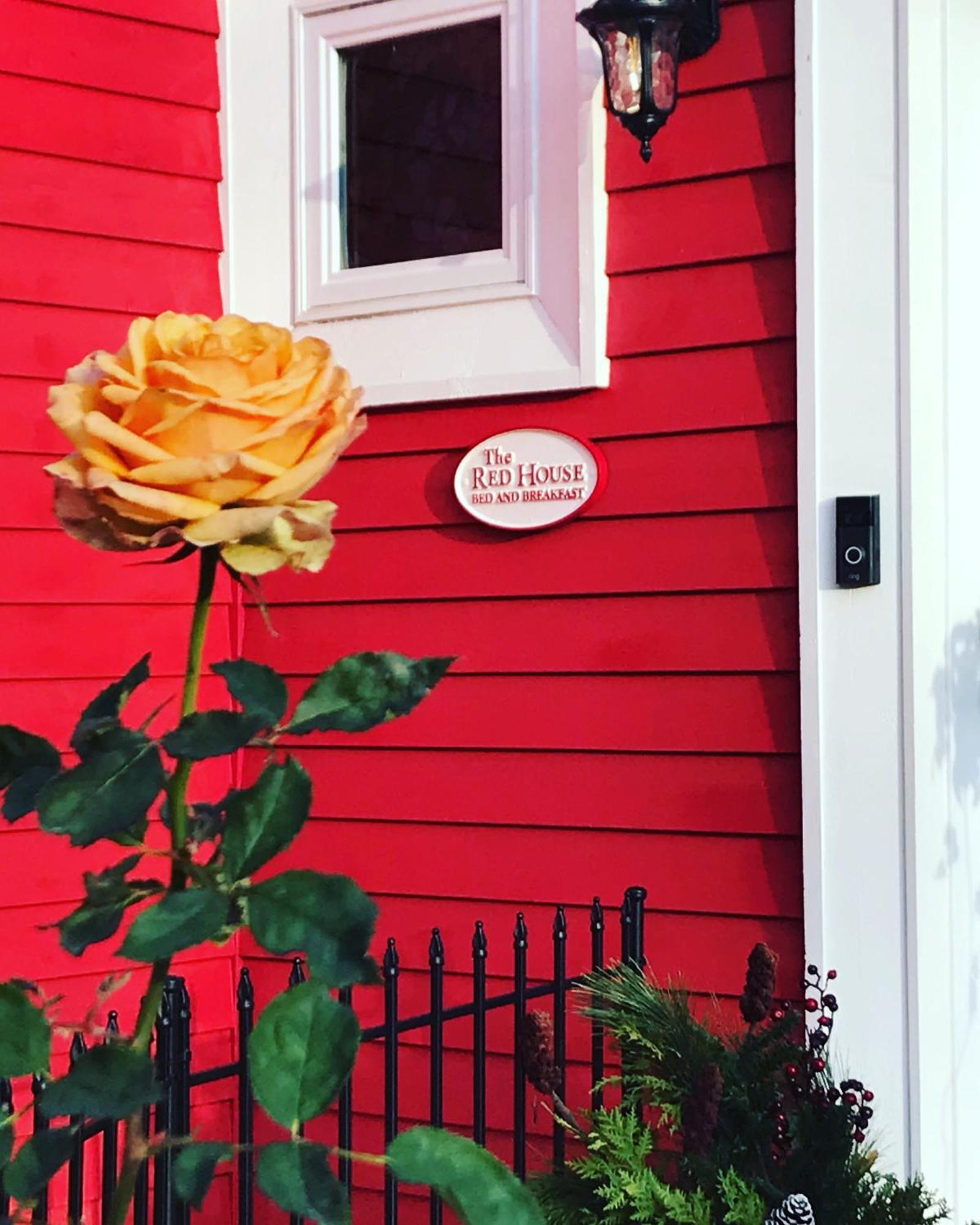 The Red House Fredericton B&B 외부 사진